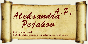 Aleksandra Pejakov vizit kartica